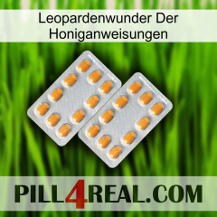 Leopard Miracle Of Honey Instructions cialis4